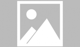 吃瓜爆料肖战粉丝告白,瓜田里的青春誓言